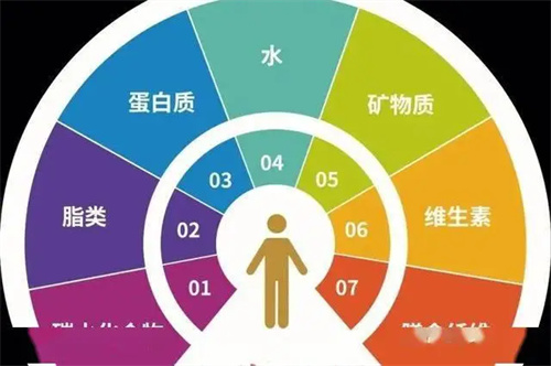 细节介绍